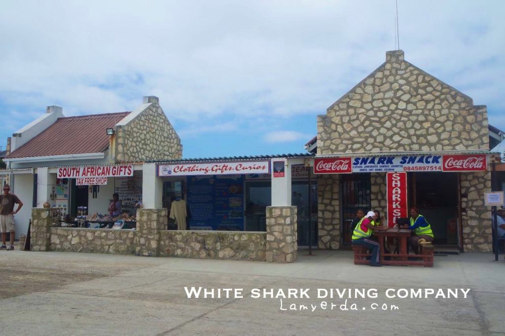 White Shark Diving 011