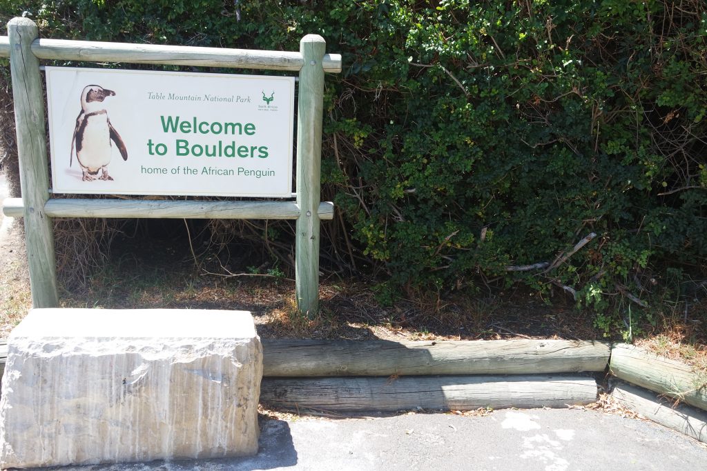welcome to boulders beach