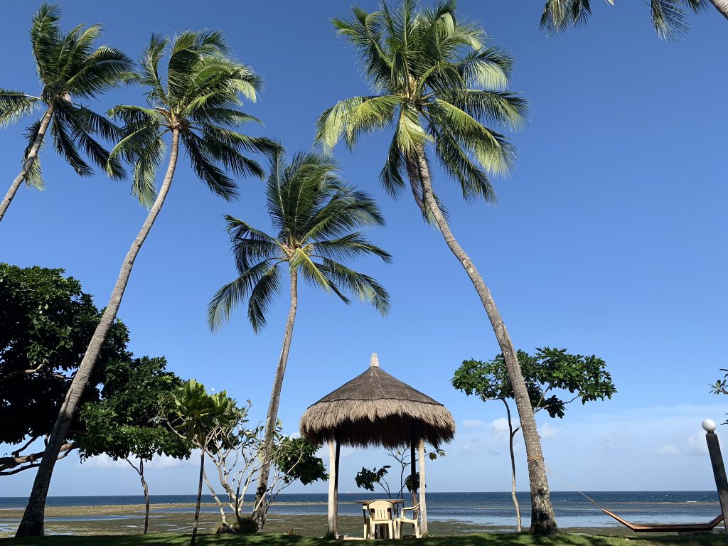 Nipa hut and palm trees Punta Bulata