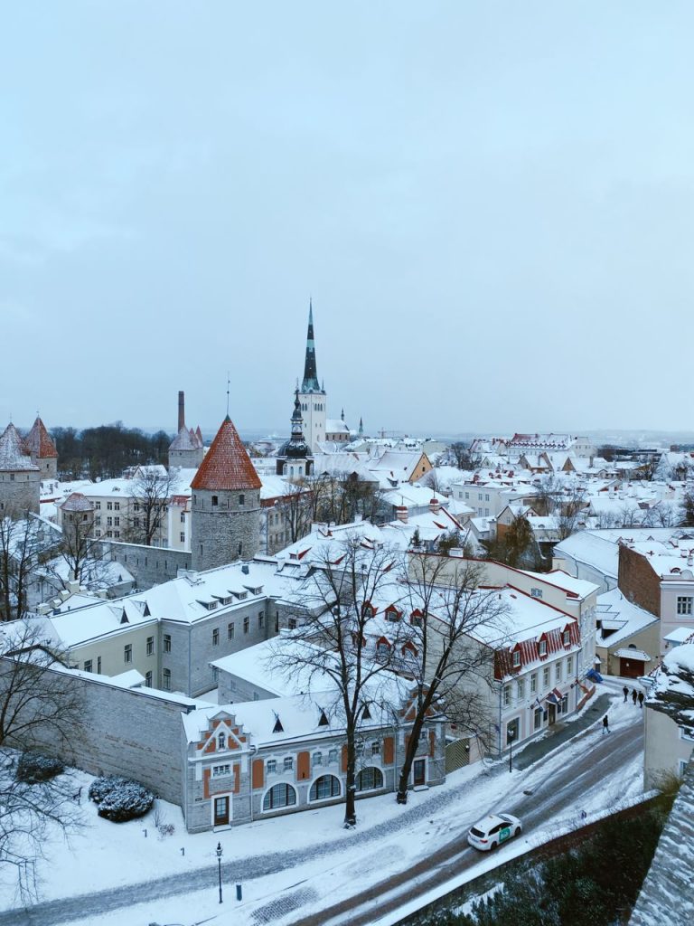 Patkuli Viewing Tallinn