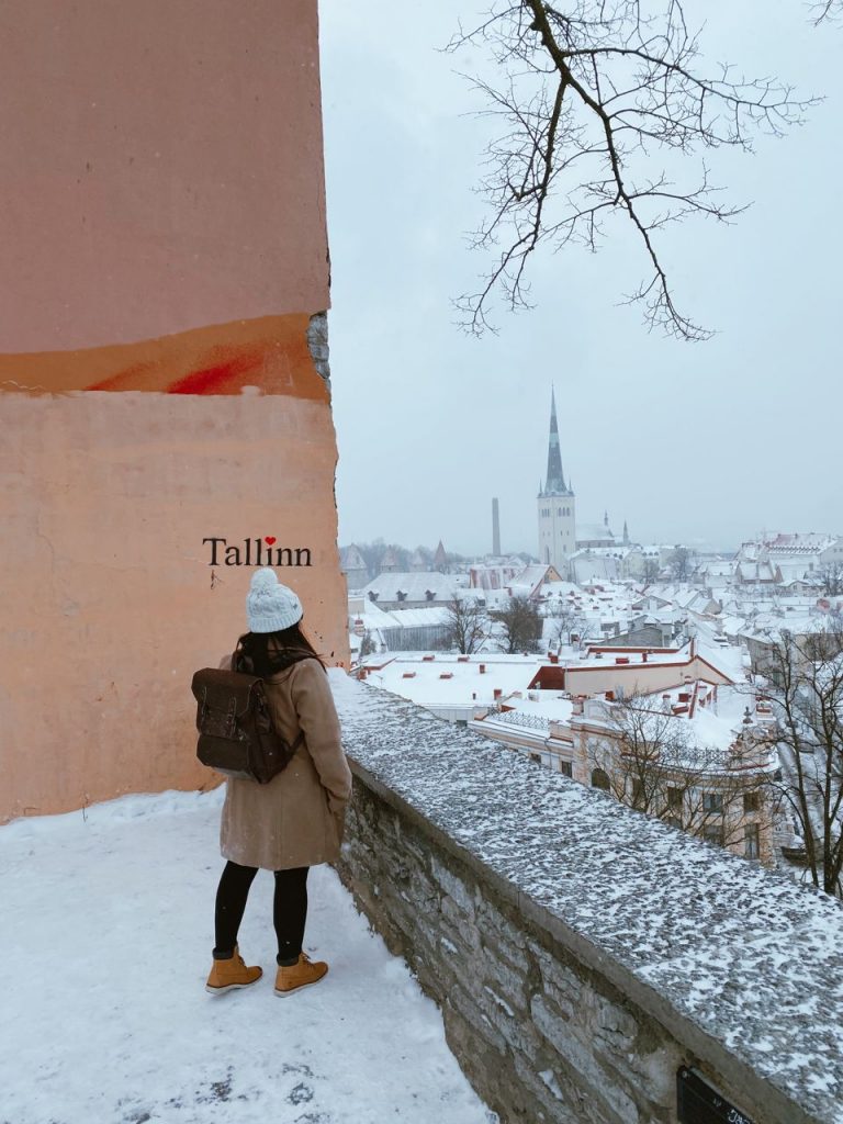Tallinn Kohtuotsa View