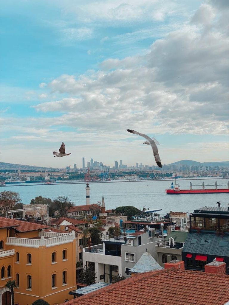 Lunch Bosphorus View