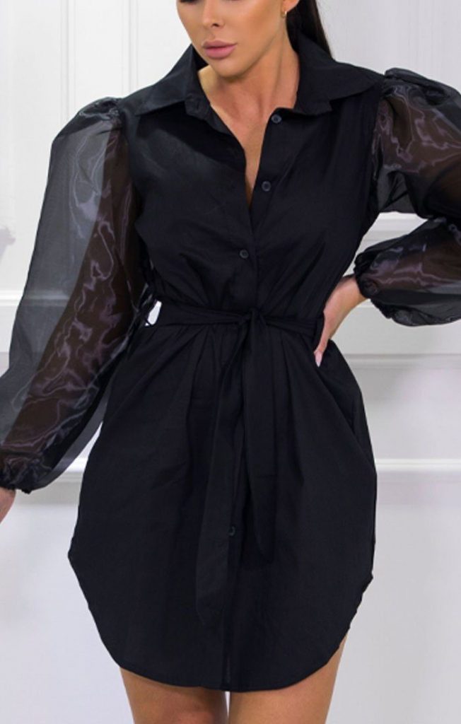 Black Mesh Organza Sleeve Shirt Dress - Hill