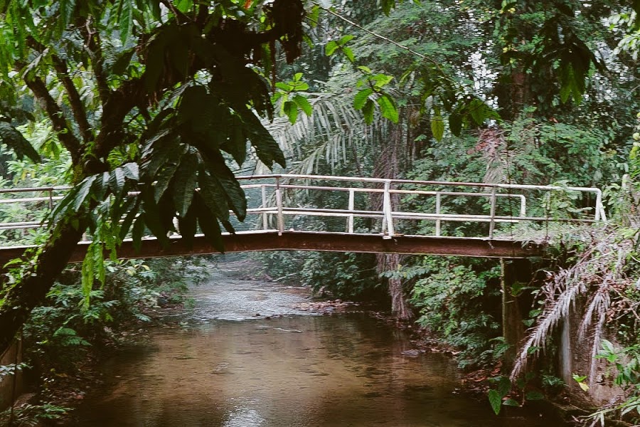 River Bridge Dusun Bonda